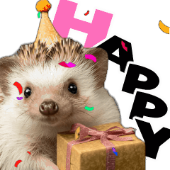[LINEスタンプ] 動く！ハリネズミ