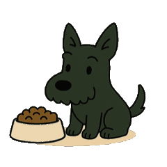 [LINEスタンプ] スコッチ作ってみた