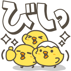 [LINEスタンプ] ひよこがいっぱい 毎日デカ文字スタンプ