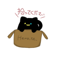 [LINEスタンプ] ねこです。拾ってください。
