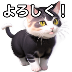 [LINEスタンプ] 【おしゃべり用】ねこ