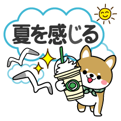[LINEスタンプ] 夏を感じる♡豆柴・柴犬スタンプ【BIG】