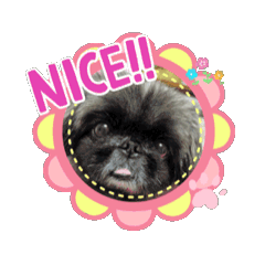 [LINEスタンプ] タッコジャムジュリ 