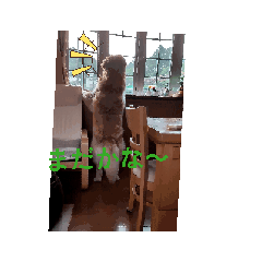[LINEスタンプ] レオ∞レオニ 