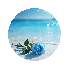 [LINEスタンプ] 美しい薔薇と海.Roses and the Sea
