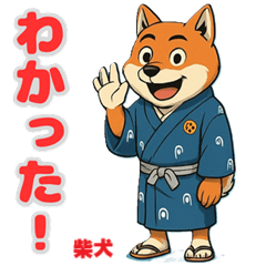 [LINEスタンプ] 浴衣姿の柴犬