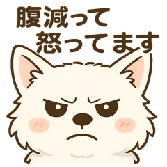 [LINEスタンプ] 白柴犬ちゃんと日本犬