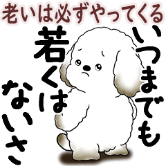 [LINEスタンプ] 犬さん『誰だって年を取るのよ』2025