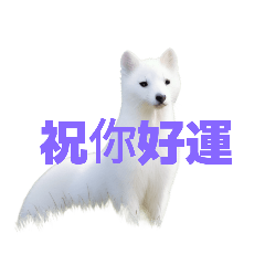[LINEスタンプ] オコジョ C