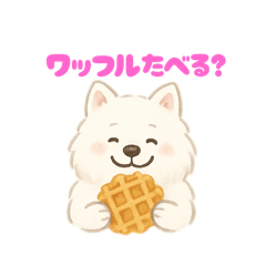 [LINEスタンプ] サモエドさん【ベルギー編】