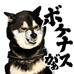 [LINEスタンプ] 動く！豆柴すみすみ 
