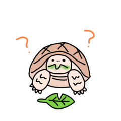 [LINEスタンプ] リクガメのわかめもずく