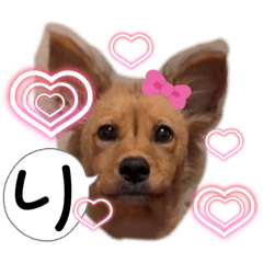 [LINEスタンプ] クルミシャン2