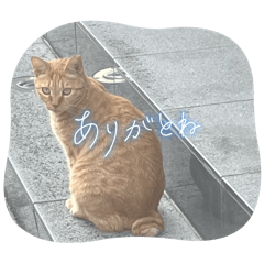 [LINEスタンプ] きなことさんま(豆大福)