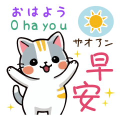 [LINEスタンプ] 可愛い猫ちゃん（台湾中国語×日本語）