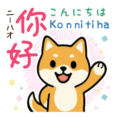 [LINEスタンプ] 可愛い柴犬（台湾中国語×日本語）