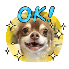 [LINEスタンプ] 俺とまろのスタンプ