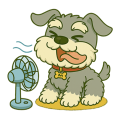 [LINEスタンプ] シュナウザーの日常.ソルトver.Previous.
