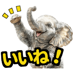 [LINEスタンプ] リアル象ミーム3