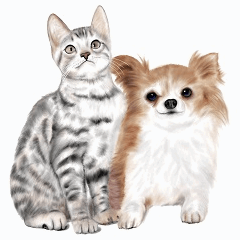[LINEスタンプ] ワンニャ2
