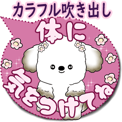 [LINEスタンプ] 犬さん 2025 「カラフルな吹き出し」