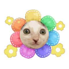 [LINEスタンプ] さき姬 