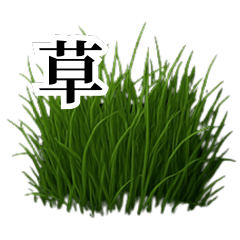 [LINEスタンプ] 草生える(実写風)