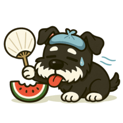 [LINEスタンプ] 夏休みを満喫するシュナウザー（文字なし）