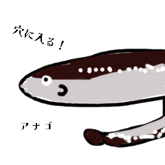 [LINEスタンプ] 魚スタンプ第15弾やでーーーーーー