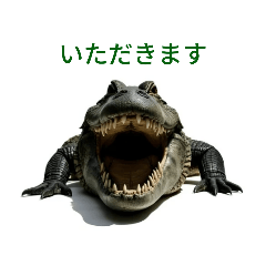 [LINEスタンプ] 生き物（リアル）