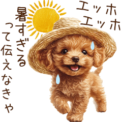 [LINEスタンプ] 夏！暑さに負けないトイプードル