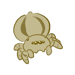 [LINEスタンプ] アザラシ＆ハエトリグモSeal＆Jumpingspider 