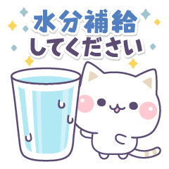 [LINEスタンプ] 気づかいのできるネコ♪真夏の敬語編☆