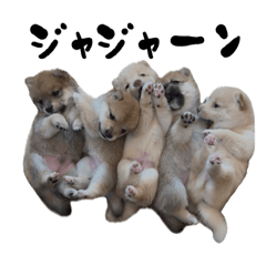 [LINEスタンプ] さくらキッズ2の画像（メイン）