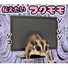 [LINEスタンプ] 伝えたいフクモモ
