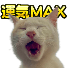 [LINEスタンプ] ご縁を届けるご縁猫たち