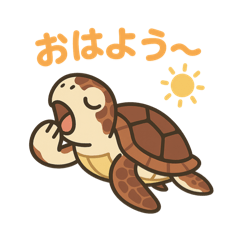 [LINEスタンプ] ウミガメ日常会話