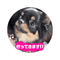 [LINEスタンプ] 暖 Original 