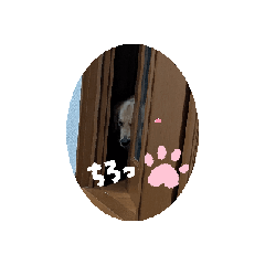 [LINEスタンプ] ある日のレオ② 