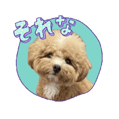 [LINEスタンプ] まるぷーのおとすけ③ 