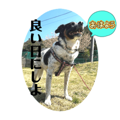 [LINEスタンプ] のびのびワンワン2