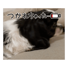 [LINEスタンプ] もぷの動くスタンプ② 
