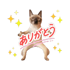 [LINEスタンプ] お酒とネコ好きな日常会話36