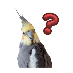 [LINEスタンプ] ノーマル☆オカメインコ百面相