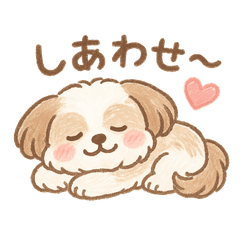 [LINEスタンプ] ふわもこシーズーの日常スタンプ