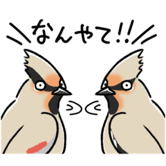 [LINEスタンプ] 時々関西弁な野鳥たち