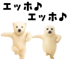 [LINEスタンプ] エッホエッホあざらしとシロクマ
