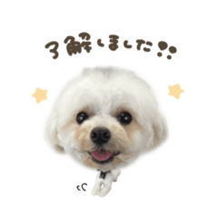 [LINEスタンプ] ビビ.ラッキー.ラブちゃん♡deformation