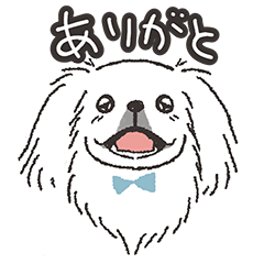 [LINEスタンプ] ハク★ニコニコたまにスンっなペキニーズ