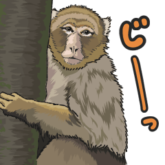 [LINEスタンプ] あつまれ！世界の猿たち1